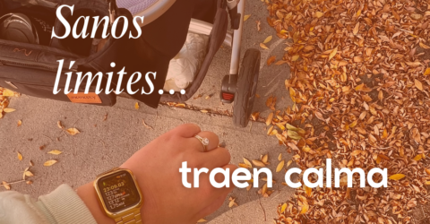 NECESITAN LÍMITES