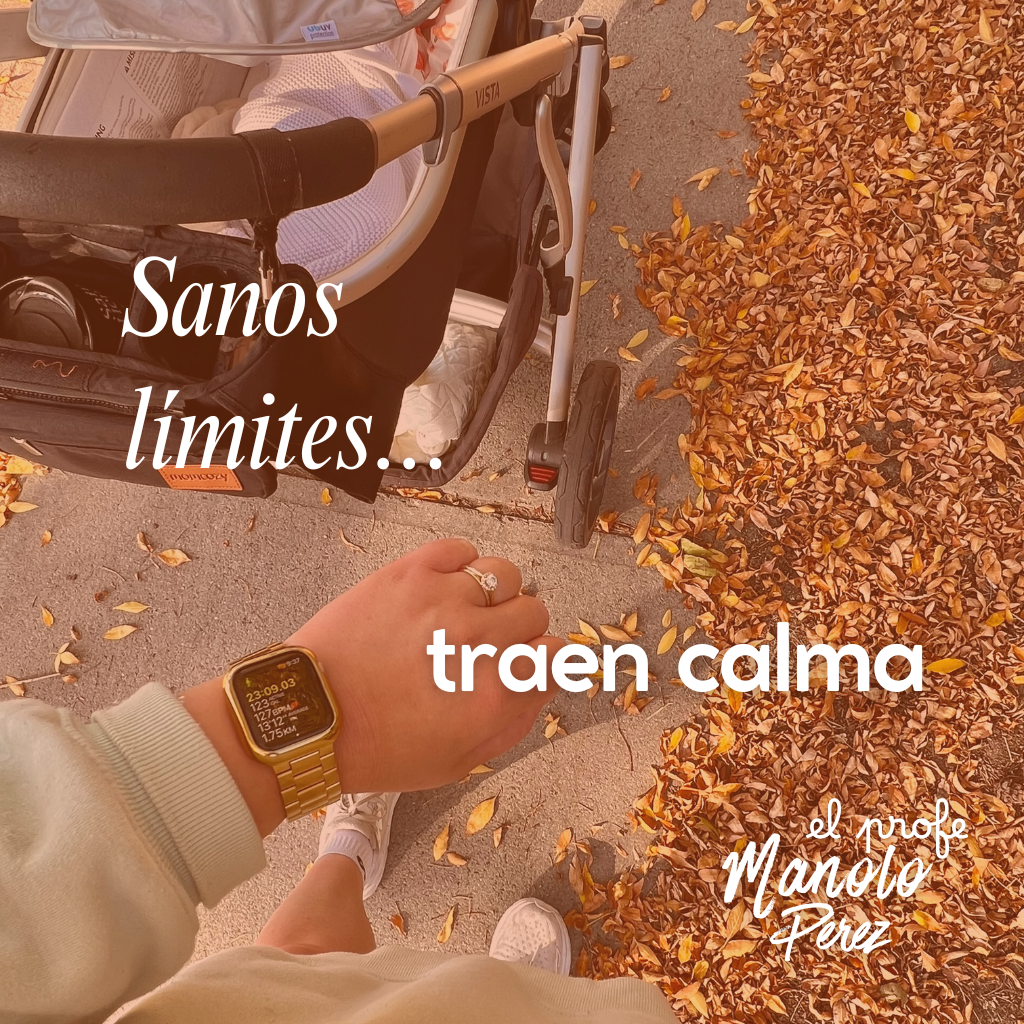NECESITAN LÍMITES